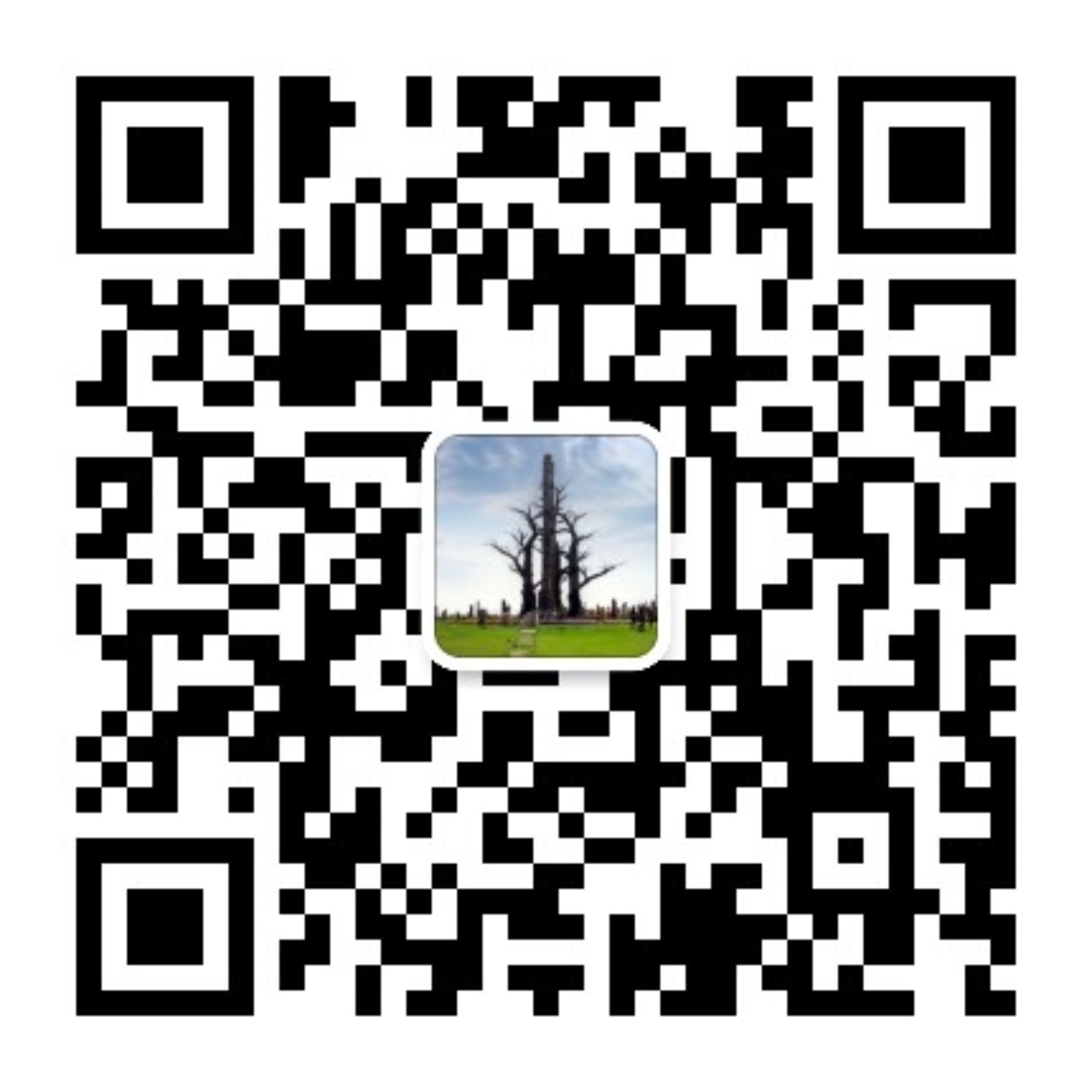1778744451398659.jpg